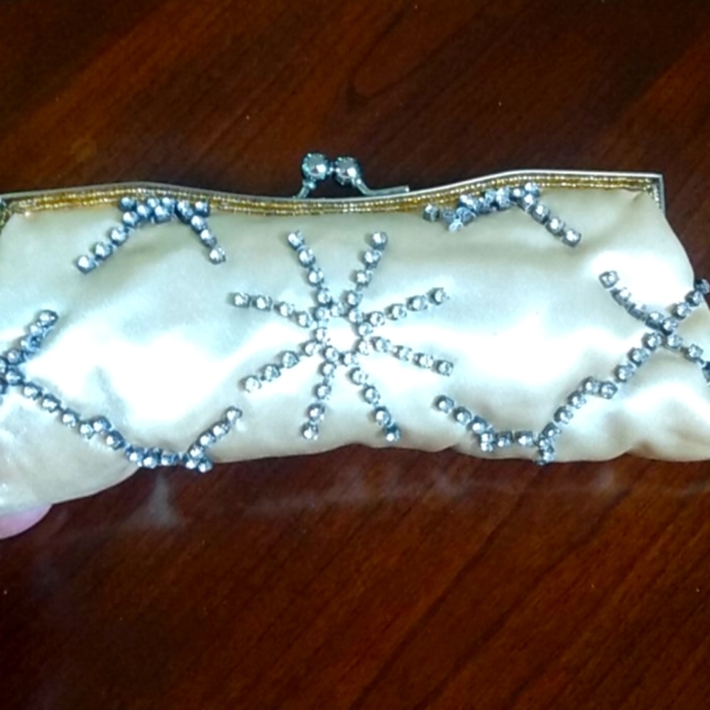Small Elegant Purse